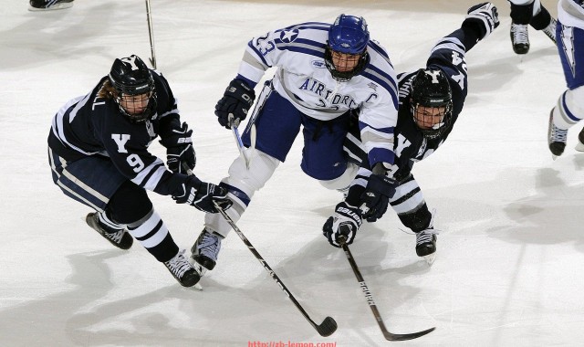柠檬体育直播-室内健身器材实体门店装修布局与选品建议