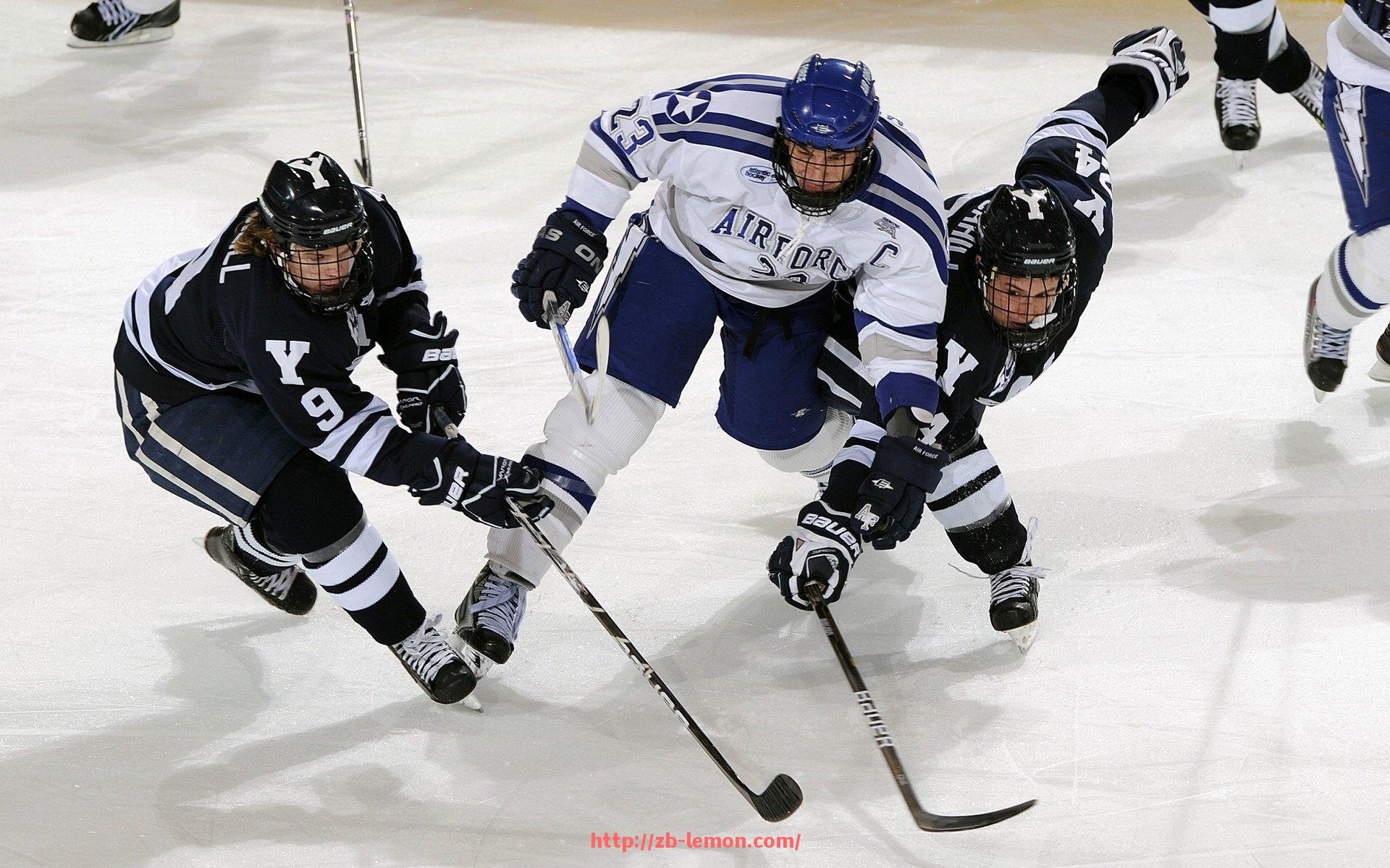 柠檬体育直播-室内健身器材实体门店装修布局与选品建议